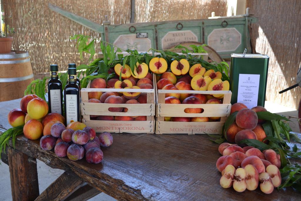 Agriturismo Montecorona ウンベルティデ エクステリア 写真